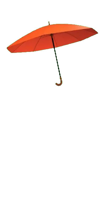 Hiệu ứng Mưa rơi